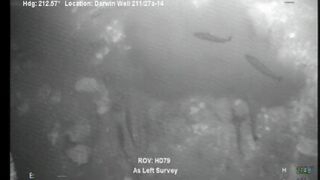 Picture 1
